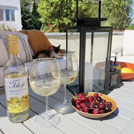 Grand Terrace With Ac & Heating דירה בודפשט